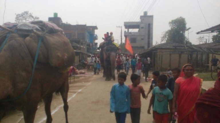 महायज्ञको कलश यात्रामा एक बालकको मृत्यु