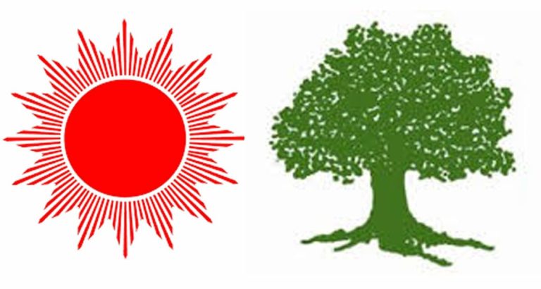 टिकट चाेर उम्मेदवारले दलमा खैलाबैला