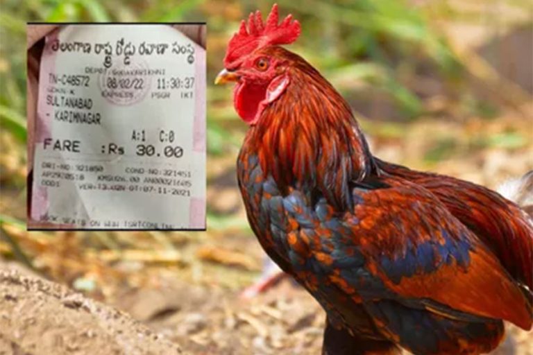 बसमा यात्रा गर्ने कुखुराको भालेलाई ३० रुपैयाँको टिकट￼