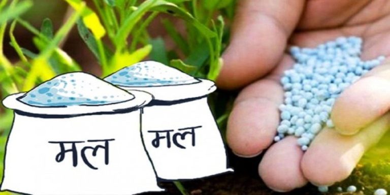 गोदाम छ, मल छैन