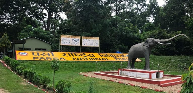 पर्सा राष्ट्रिय निकुञ्जमा अब जंगल सफारी गर्न पाइने