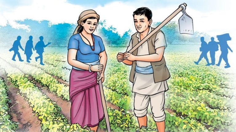 किसानलाई मल नपाएर समस्या, सिँचाइ सुविधा पनि पुगेन् ।