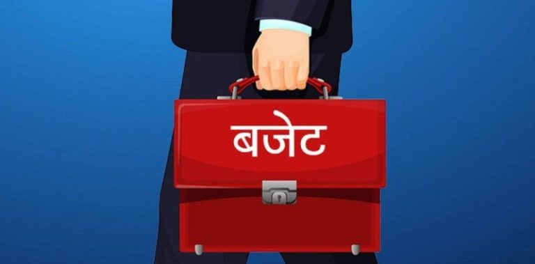 नगरसभामा बजेट पेस नगर्ने स्थानीय तहको विवरण संकलन गर्न शुरू