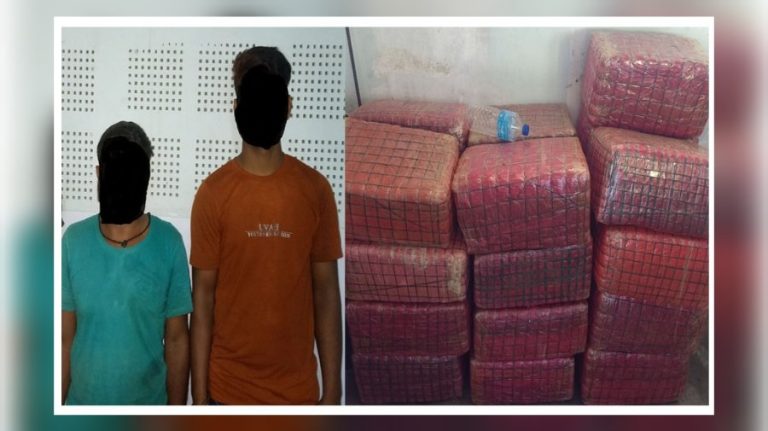 पर्सा : २५० किलो गाँजा सहित ३ जना भारतीय नागरिक पक्राउ
