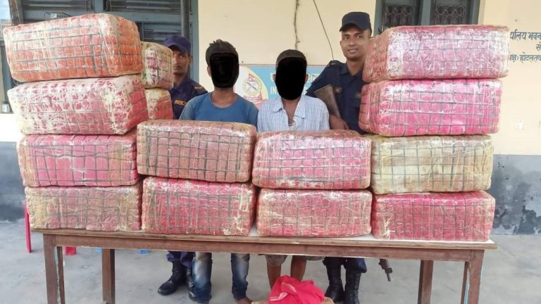भारी परिमाणमा लागु औषध गाँजा सहित भारतीय नागरिक पक्राउ ।