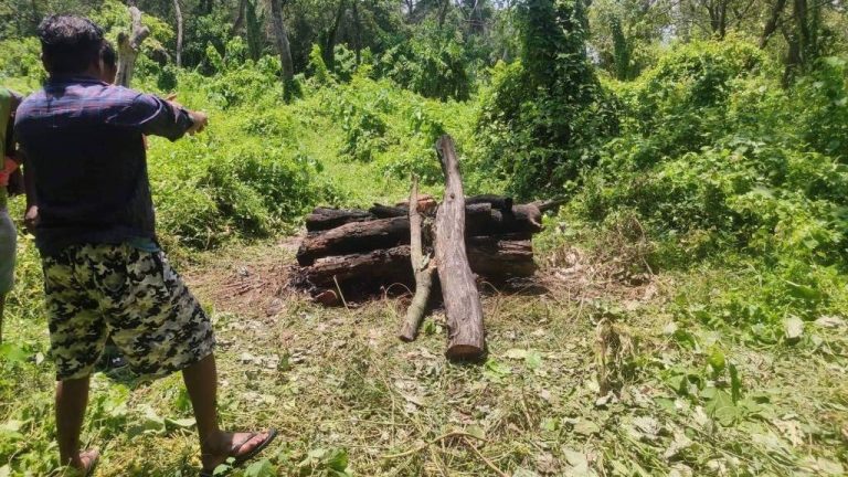प्रेममा पर्दा सीमाको हत्या, परिवारका अन्य सदस्य फरार आमा नियन्त्रणमा