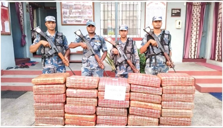२ सय ४० किलो गांजा सशस्त्र प्रहरीद्वारा बरामद