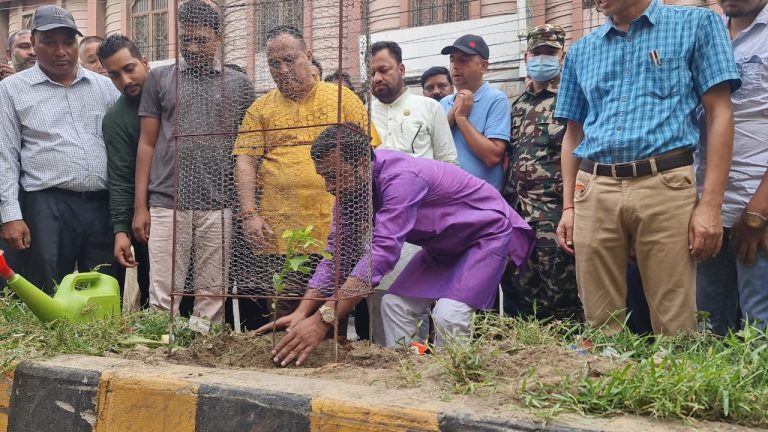 वीरगन्जलाइ हराभरा बनाउन वृक्षारोपण कार्यक्रमलाइ निरन्तरता