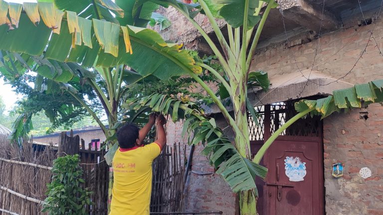 मधेसमा आज लक्ष्मीपूजाको रौनक, कुकुर तिहार पनि आजै