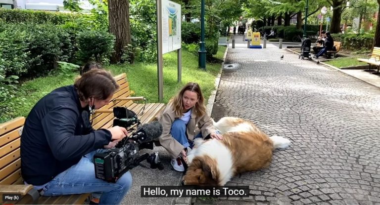 कुकुर बन्न २ लाख येन* खर्च, विश्रभरी चर्चा