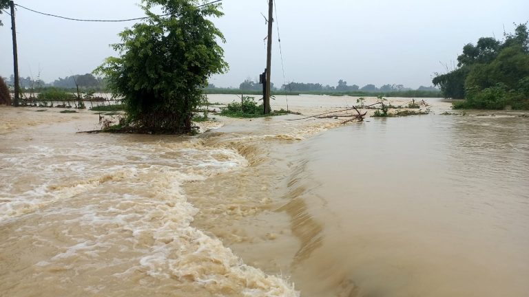 नदी, खोला अतिक्रमणमा परे, साँघुरिँदै गएपछि निकास खोज्दै सहर पसे