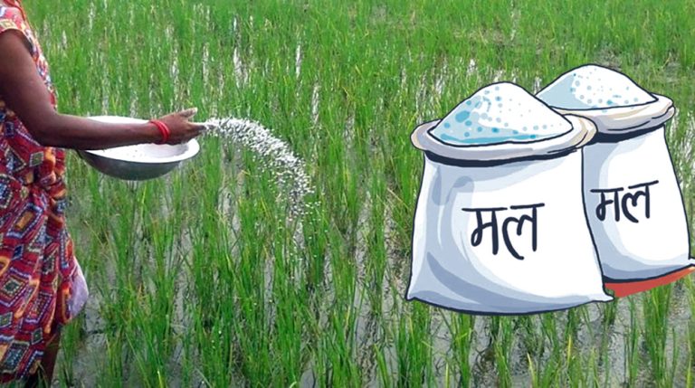 १० महिनामा साढे २५ अर्बको रासायनिक मल आयात