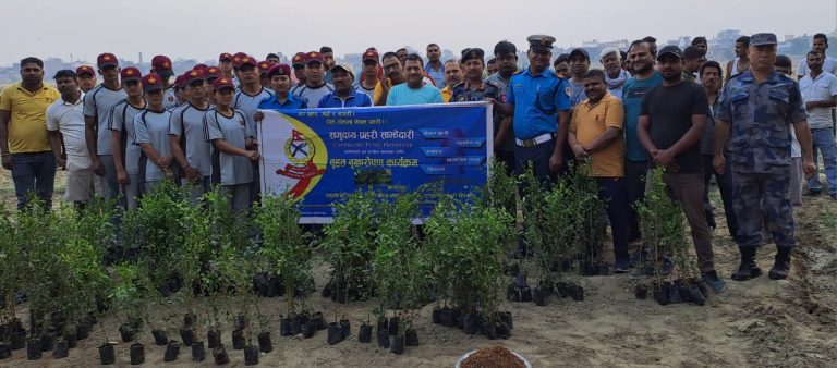 ग्रिन सिटीको पहलमा व्यवसायिक खेती गर्न पाँच हजार बिरुवा रोपियो