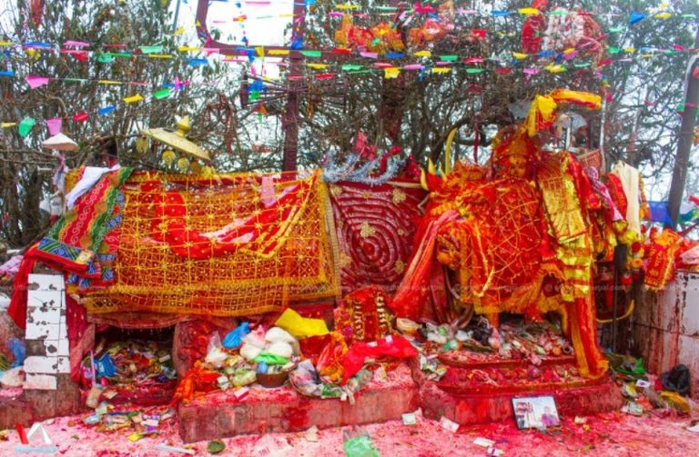 वैशाखमा मात्रै ५२ हजार भक्तजनले गरे पाथीभरा माताको दर्शन