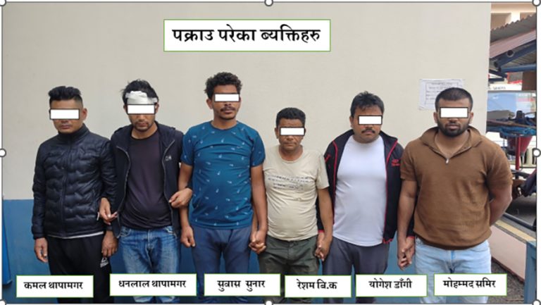 सुनचाँदीका गहना र नगद चोरीमा संलग्न ६ जना पक्राउ