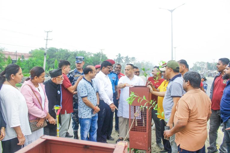 चुरे दिवसको अवसरमा वीरगन्जमा करिब ५ सय विरुवा रोपियो