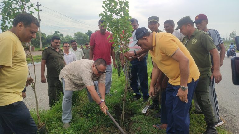वीरगंज महानगरको लक्ष्य ‘जहाँ खाली, त्यहाँ हरियाली’