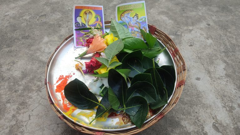 आज नागपञ्चमी पर्वः नागको पूजाआराधना गरी मनाइँदै