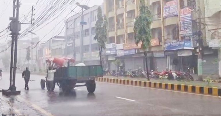 वीरगञ्जमा सफाईकर्मीहरूको योगदान: अबिरल वर्षामा पनि निरन्तर सफाई अभियान