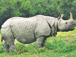 सांकेतिक तस्बिर