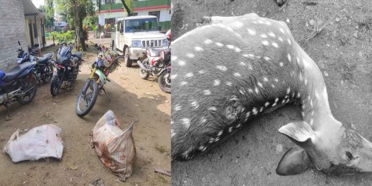 दुई चित्तल मारेर लैजान लागेका एकजना पक्राउ