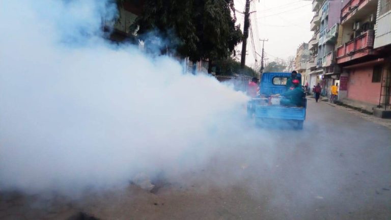 वीरगन्जमा लामखुट्टे नियन्त्रणका लागि विषादी छर्ने तयारी