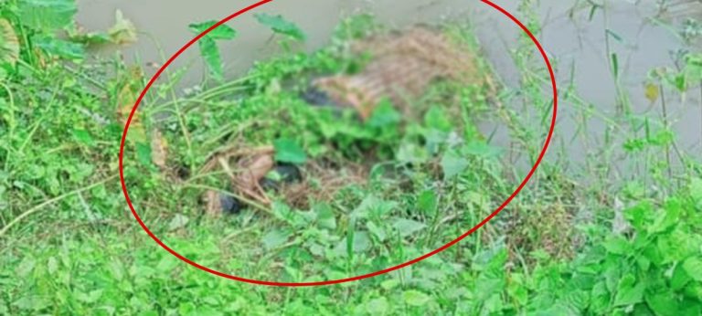 बारा : गण्डक नहर किनारमा एक पुरुषको शव फेला, छपकैया क्षेत्रको बासिन्दा रहेको आशंका