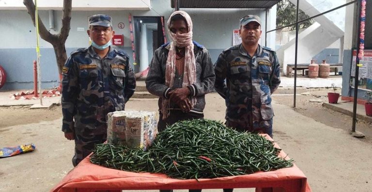 खुर्सानीको बोराभित्र लागूऔषध बरामद