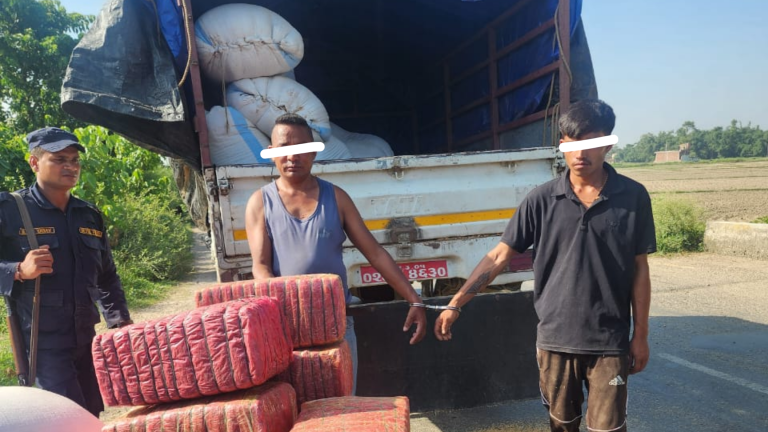 लागूऔषध गाँजासहित बारामा चार जना पक्राउ