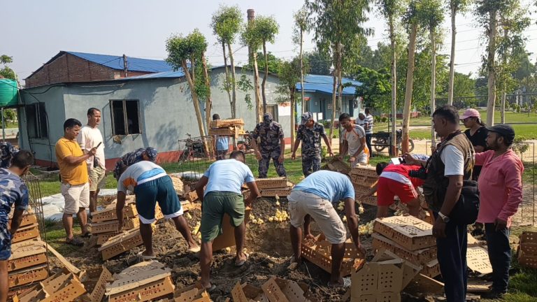 सशस्त्र प्रहरीद्वारा ७५ कार्टुन प्रतिबन्धित ब्रोइलर कुखुराको चल्ला बरामद