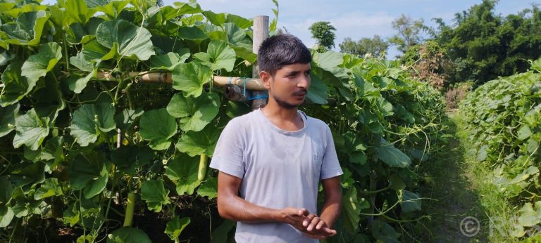 मौसमी सागसब्जी बेचेर मासिक दुई लाख आर्जन