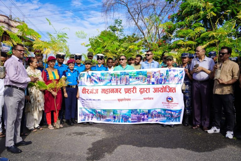 वीरगञ्जमा बृहत वृक्षारोपण सम्पन्न, मेयर सिंहले दिए संरक्षणमा जोड