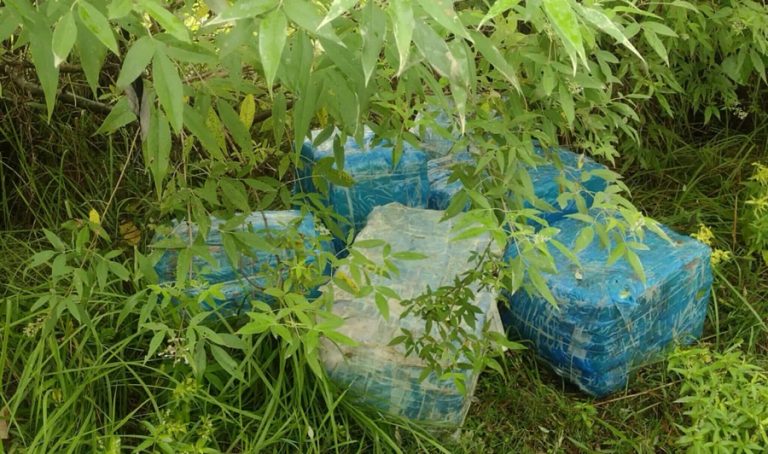 बेवारिसे अवस्थामा सय किलो गाँजा बरामद