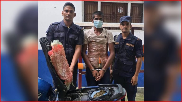 सीमावर्ती क्षेत्रबाट ८ किलोभन्दा बढी गाँजासहित युवक पक्राउ