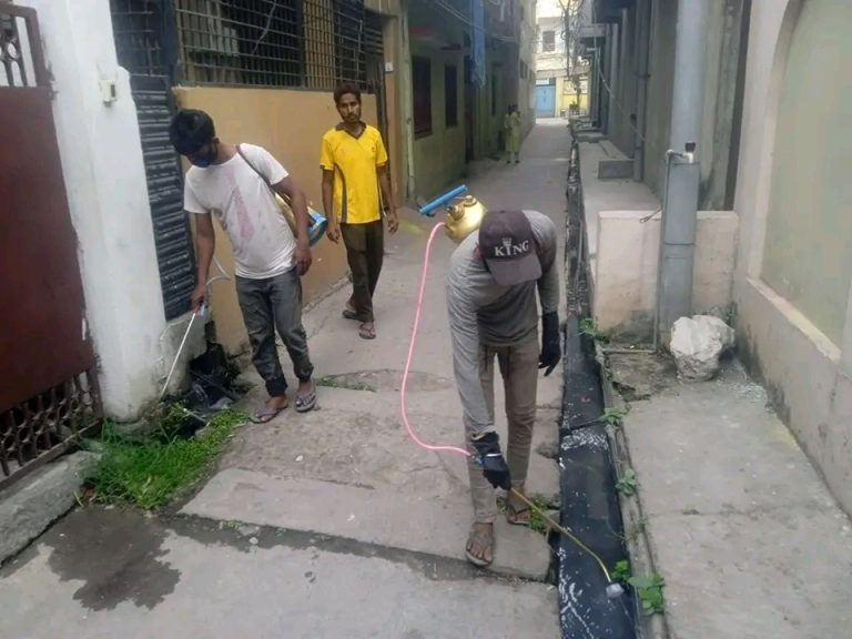 वीरगंजमा नालामा स्प्रे अभियान सुरु, डेंगु र हैजा नियन्त्रणमा जोड