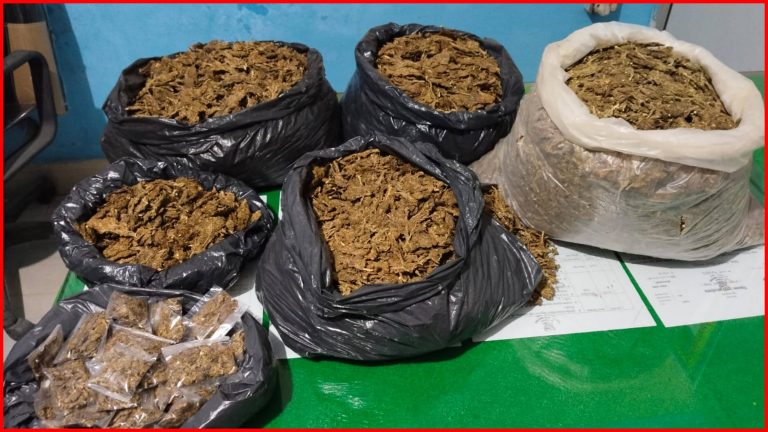 वीरगन्जमा किराना पसलबाट ८ किलो गाँजासहित ७१ वर्षीय वृद्ध पक्राउ