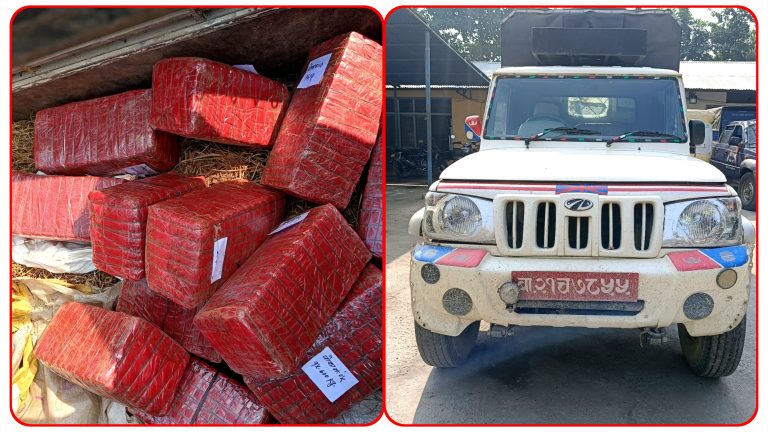 परालले छोपेर गाँजा तस्करी, पर्सा प्रहरीले समात्यो पिकअपसहित चालक