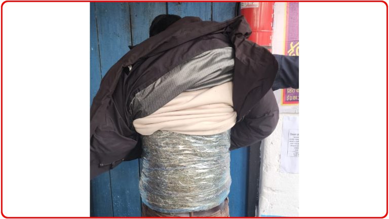 शरीरमा बाँधेर ल्याइएको ३ किलोभन्दा बढी गाँजासहित भारतीय नागरिक पक्राउ