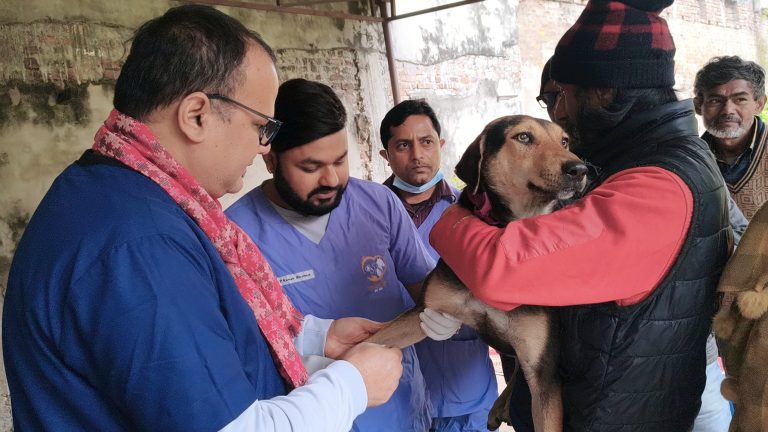 सामुदायिक कुकुरको संख्या नियन्त्रण गर्न वीरगञ्जमा नसबन्दी अभियान