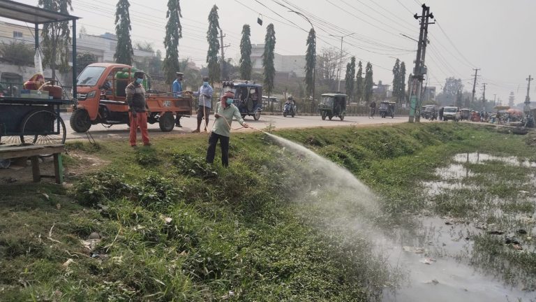 वीरगंजमा लामखुट्टे नियन्त्रण अभियान सुरु
