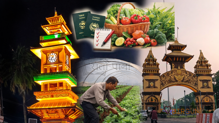 वीरगञ्ज महानगरद्वारा वैदेशिक रोजगारबाट फर्किएकालाई वेमौसमी तरकारी खेती तालिम