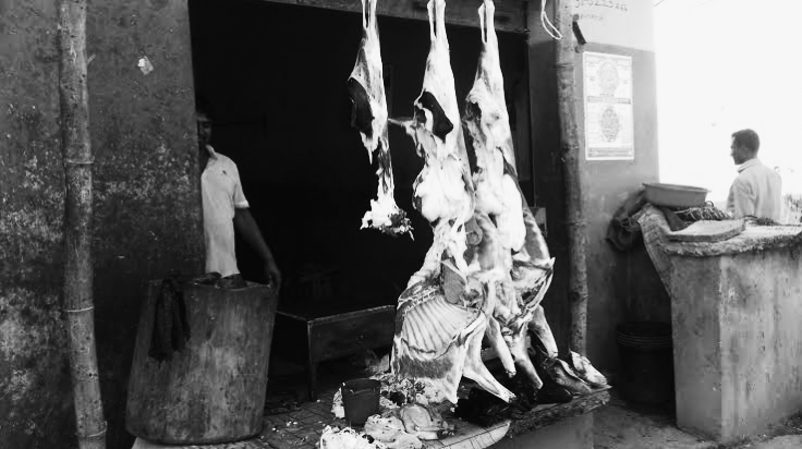 वीरगञ्ज महानगरको चेतावनी: खसी भन्दै बाख्राको मासु बेच्नेहरू कारबाहीमा