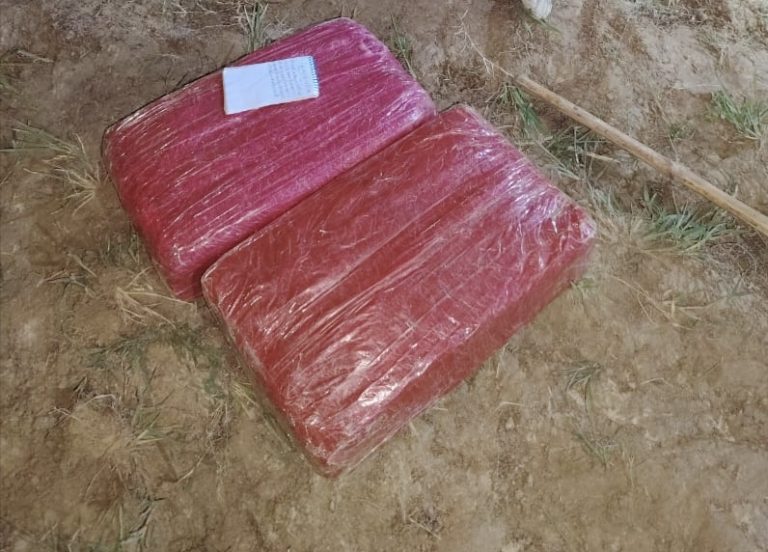 सीमा क्षेत्रबाट ११ किलो गाँजासहित एक जना पक्राउ