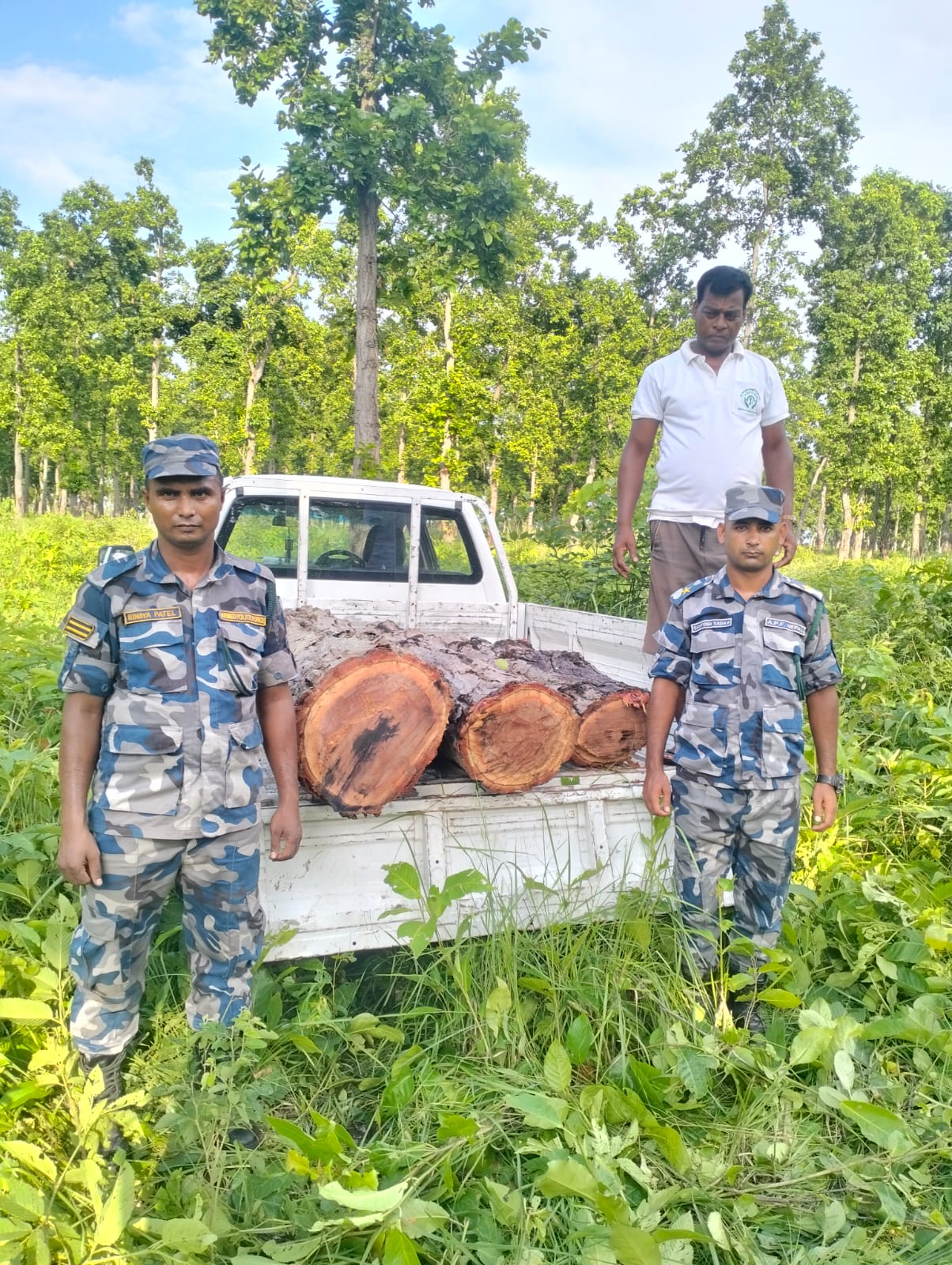 सोलखपुर जंगलबाट अवैध सालको गोलिया काठ बरामद