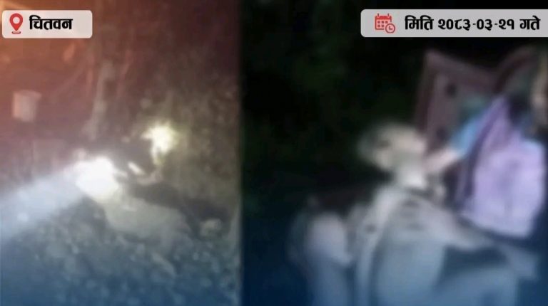 जंगली हात्तीको आक्रमणमा आमा र ४ वर्षीय छोराको मृत्यु, घर पनि जलेर नष्ट