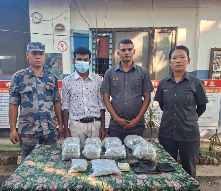कुरकुरेको प्याकेटभित्र ब्राउन सुगर लुकाएर ल्याउँदै गरेका १८ वर्षीय शेख र गाँजासहित मियाँ पक्राउ